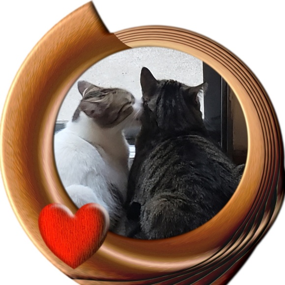 Meet your Posher, Wendie - Picture 7 of 8